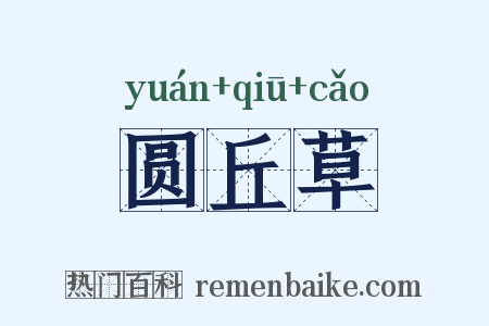 圆丘草是什么意思的图片